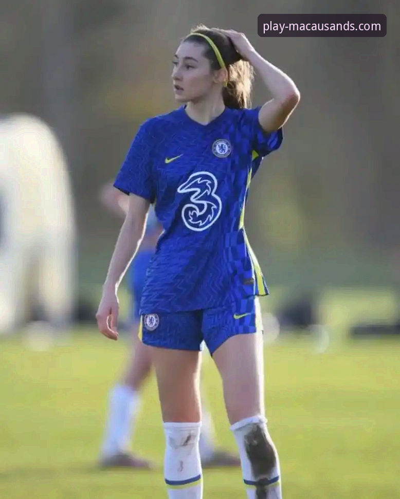 澳门沙金是什么怎么样 从意大利三届出局,看澳门沙金平台如何重塑体育赛事体验深度分析