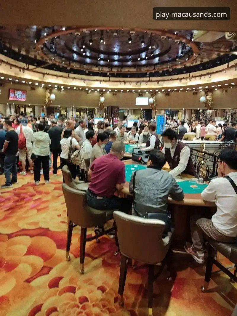 资深用户分享：在澳门沙金平台沉浸式体验波黑淘汰意大利的震撼之夜